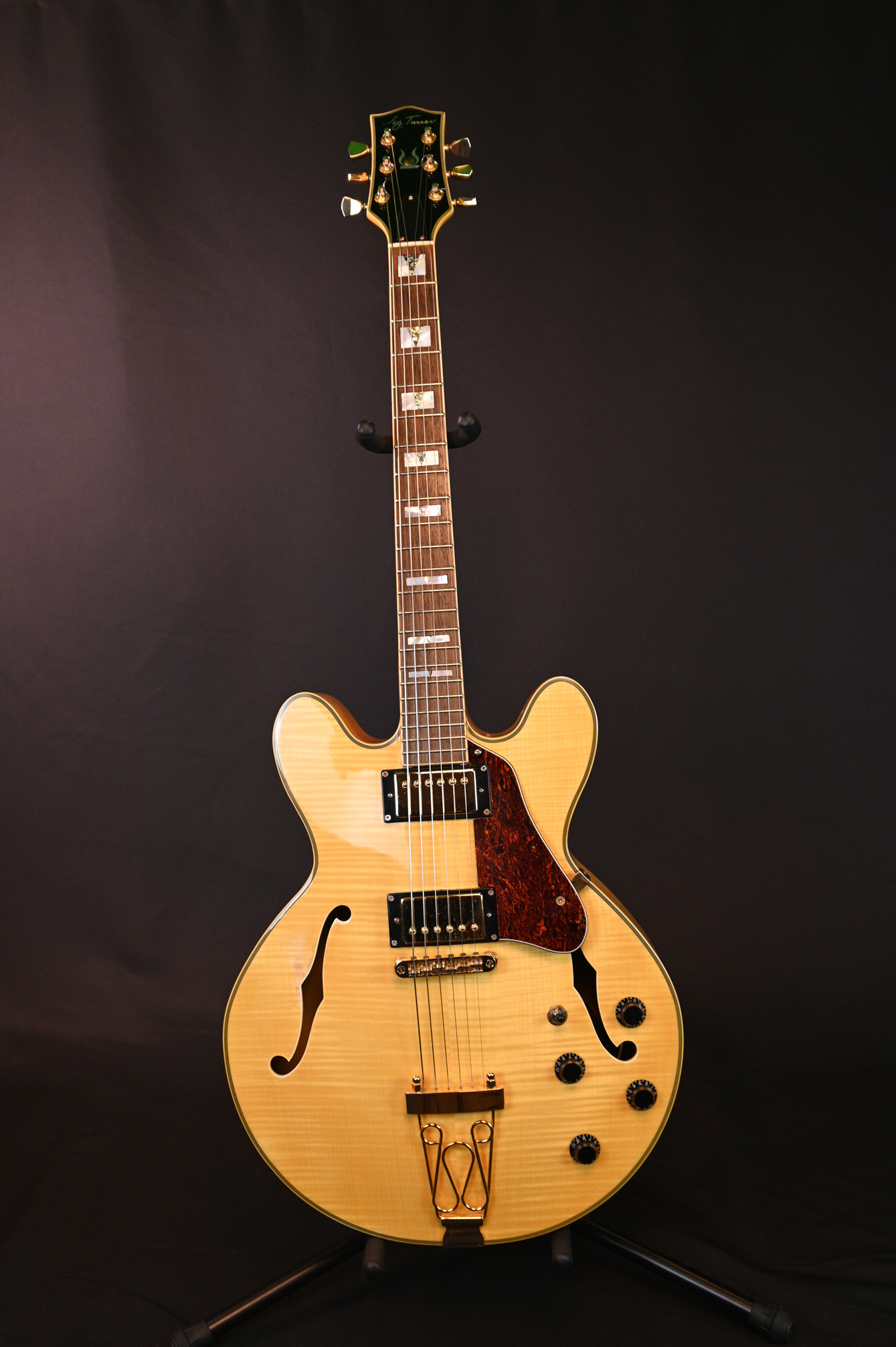 Jay Turser JT142 Gold Hardware SemiHollow Body Electric Guitar